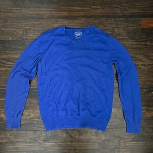 American Eagle Outfitters Men's V-Neck Sweater in Blue